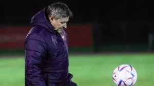 Драган Стойкович уходит с поста главного тренера сборной Сербии: анализ ситуации