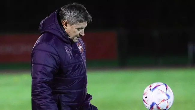 Драган Стойкович уходит с поста главного тренера сборной Сербии: анализ ситуации