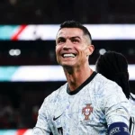 Как болельщики оценивают легионеров в Российской Премьер-Лиге: результаты опроса